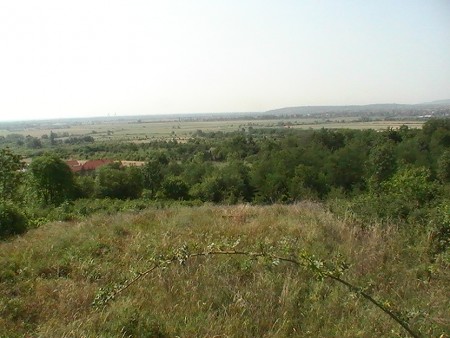 telek
